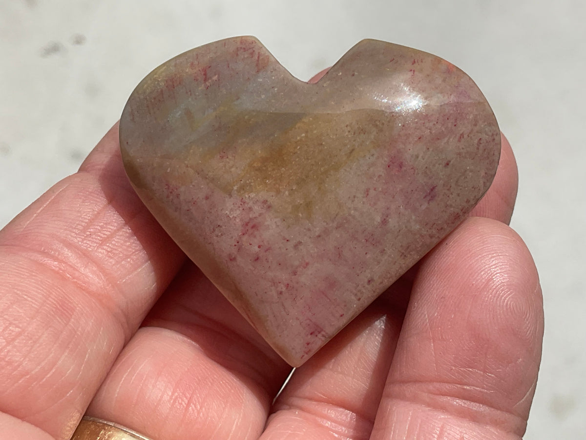 40g Fossilised Coral Heart 2C