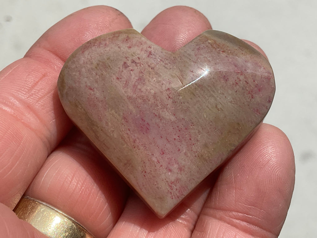40g Fossilised Coral Heart 2C