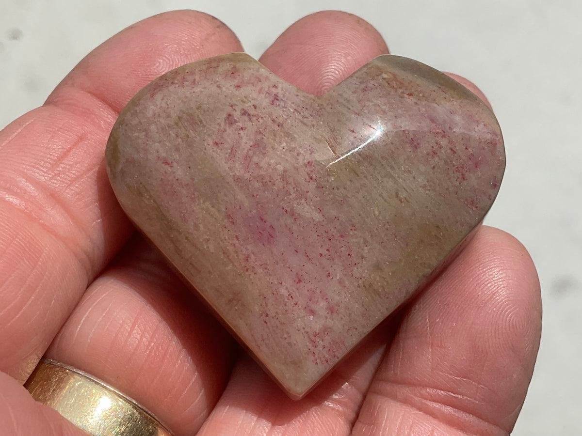 40g Fossilised Coral Heart 2C
