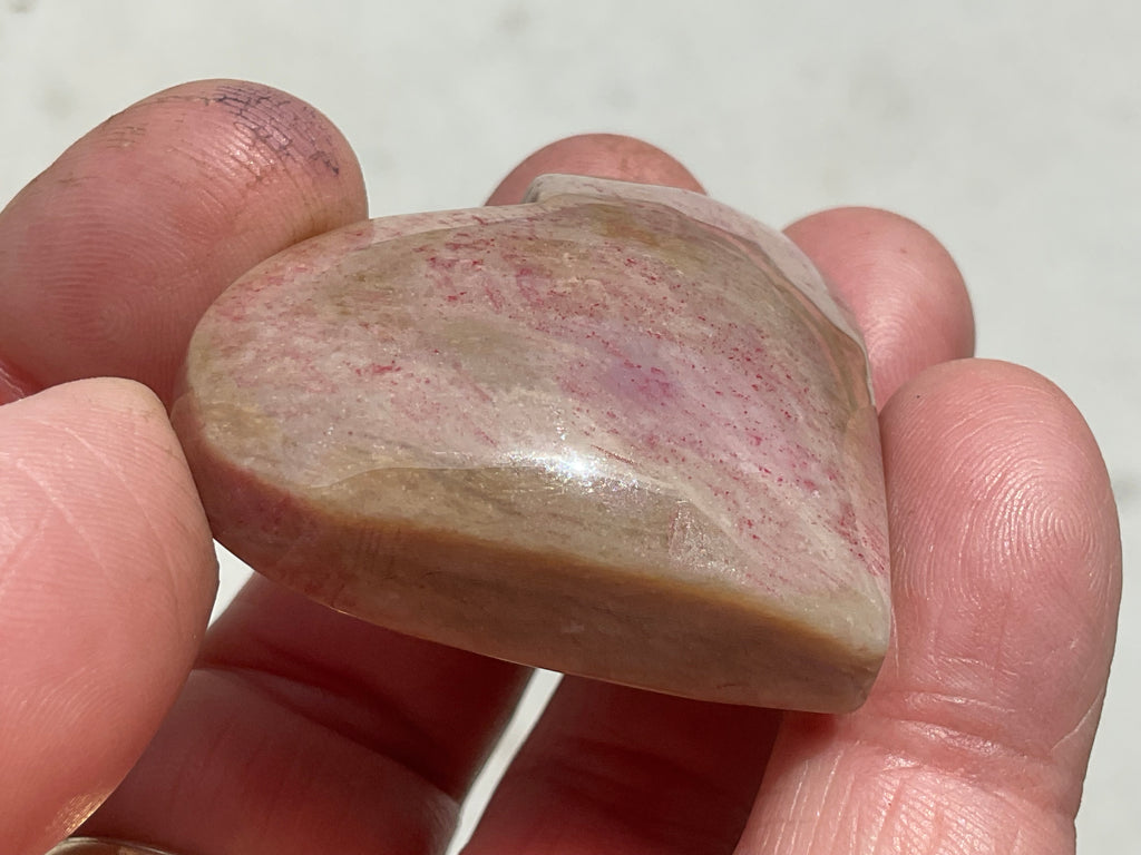 40g Fossilised Coral Heart 2C