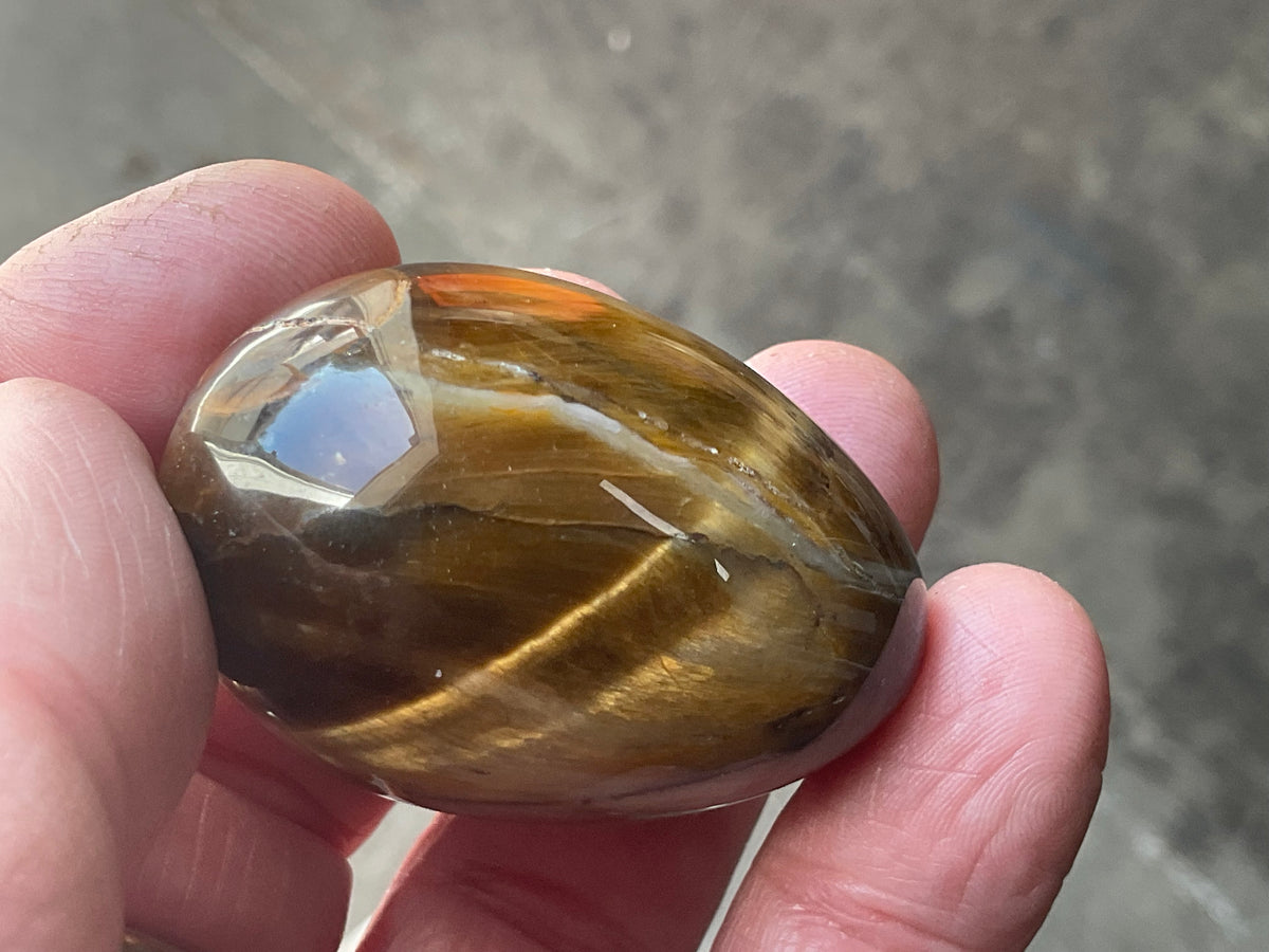 58g Tiger Eye Egg B