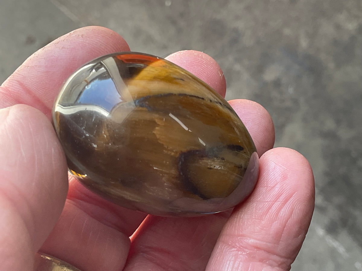 58g Tiger Eye Egg B