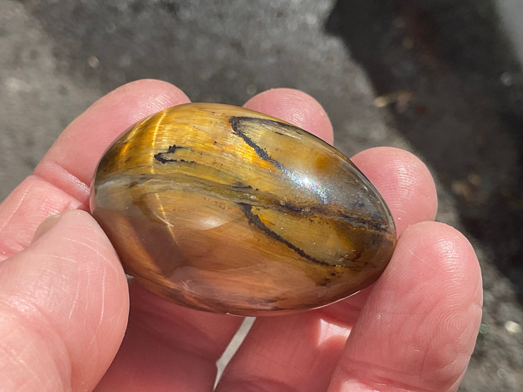 58g Tiger Eye Egg B