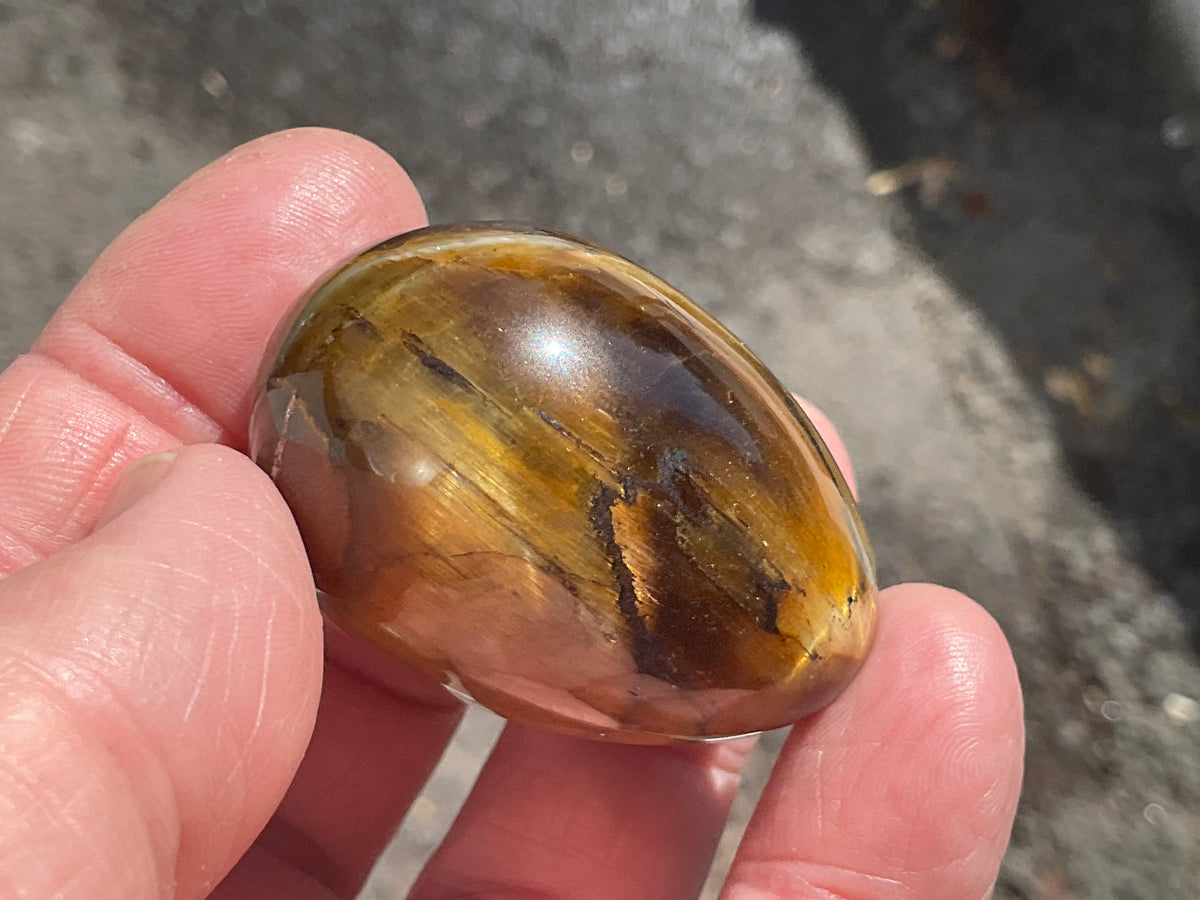 58g Tiger Eye Egg B
