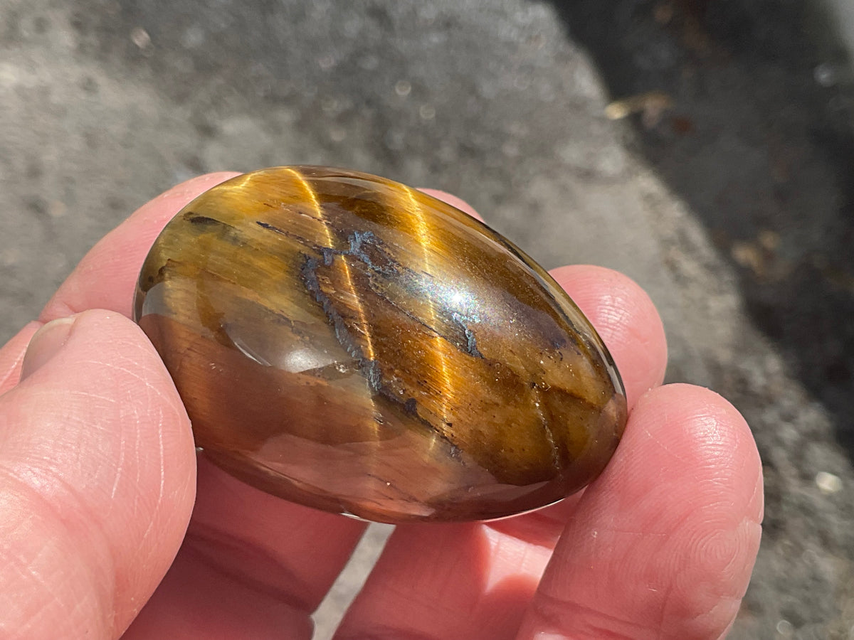 58g Tiger Eye Egg B