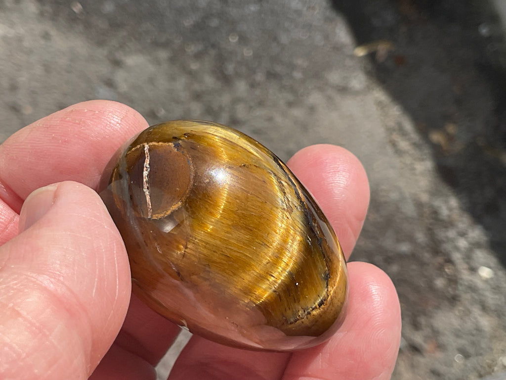 58g Tiger Eye Egg B