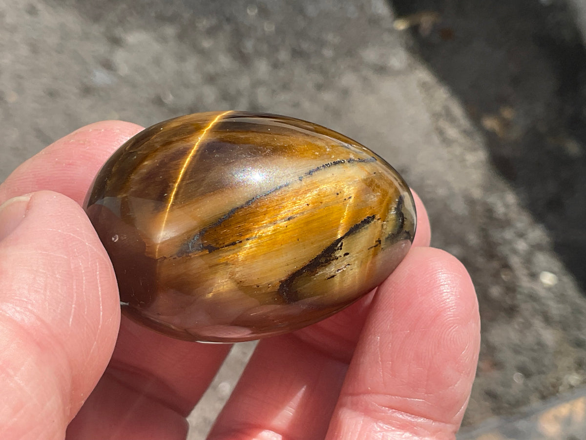 58g Tiger Eye Egg B