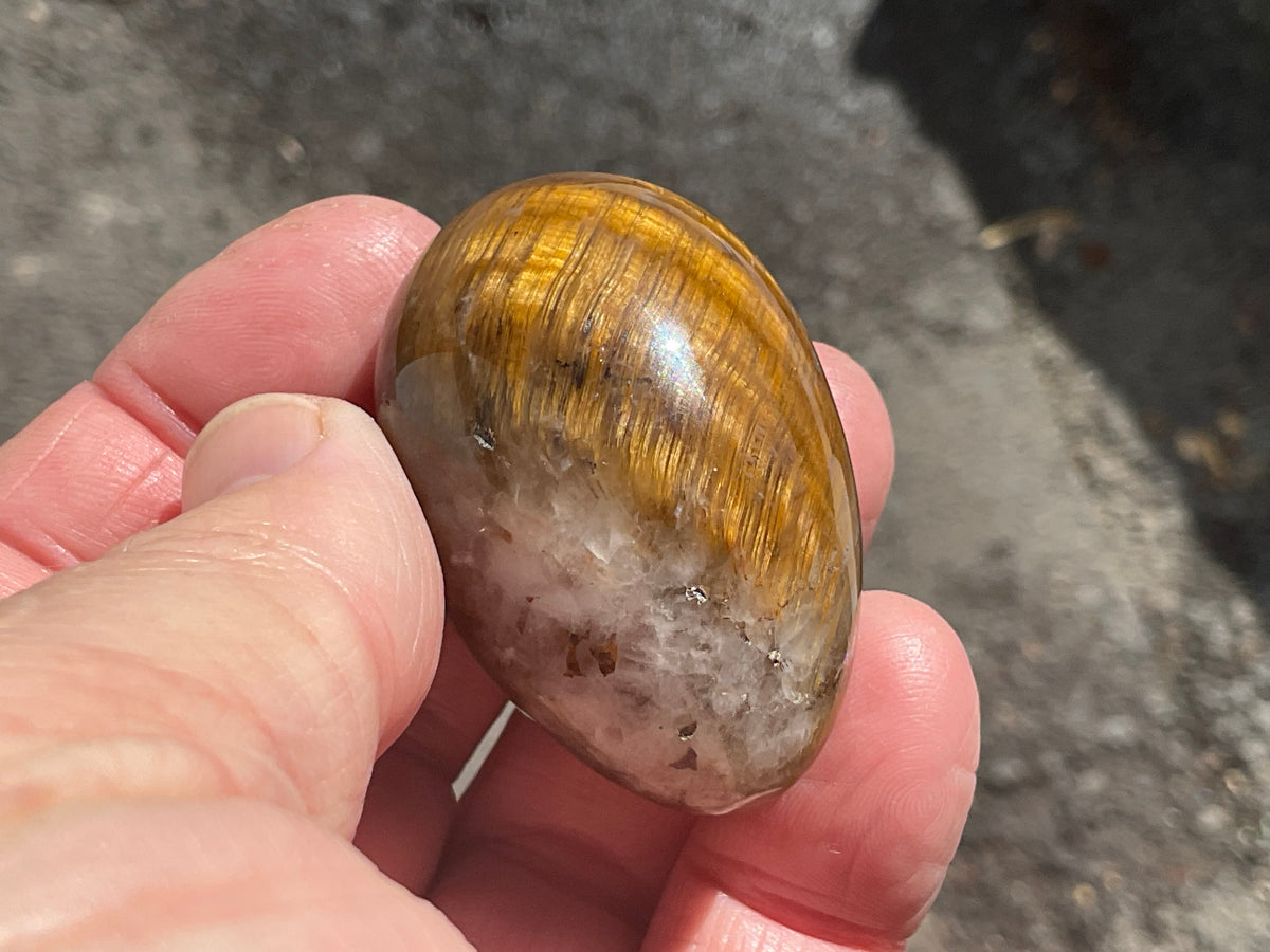 56g Tiger Eye Egg E
