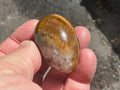 56g Tiger Eye Egg E
