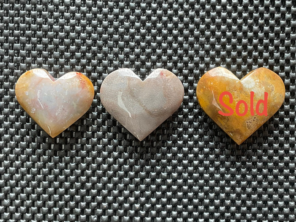 72g Fossilised Coral Heart 4B