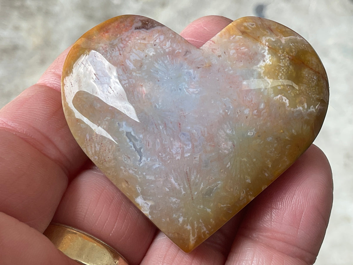 65g Fossilised Coral Heart 4A