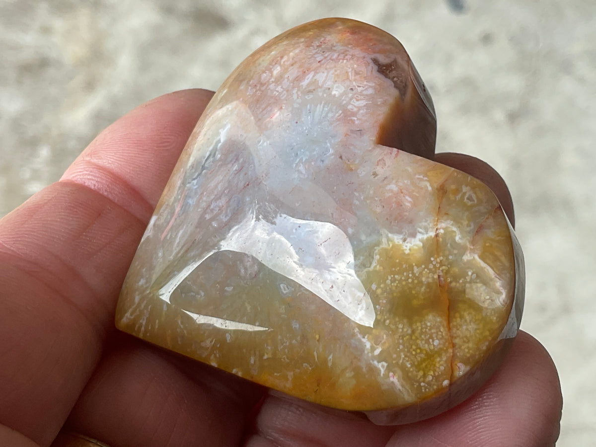 65g Fossilised Coral Heart 4A
