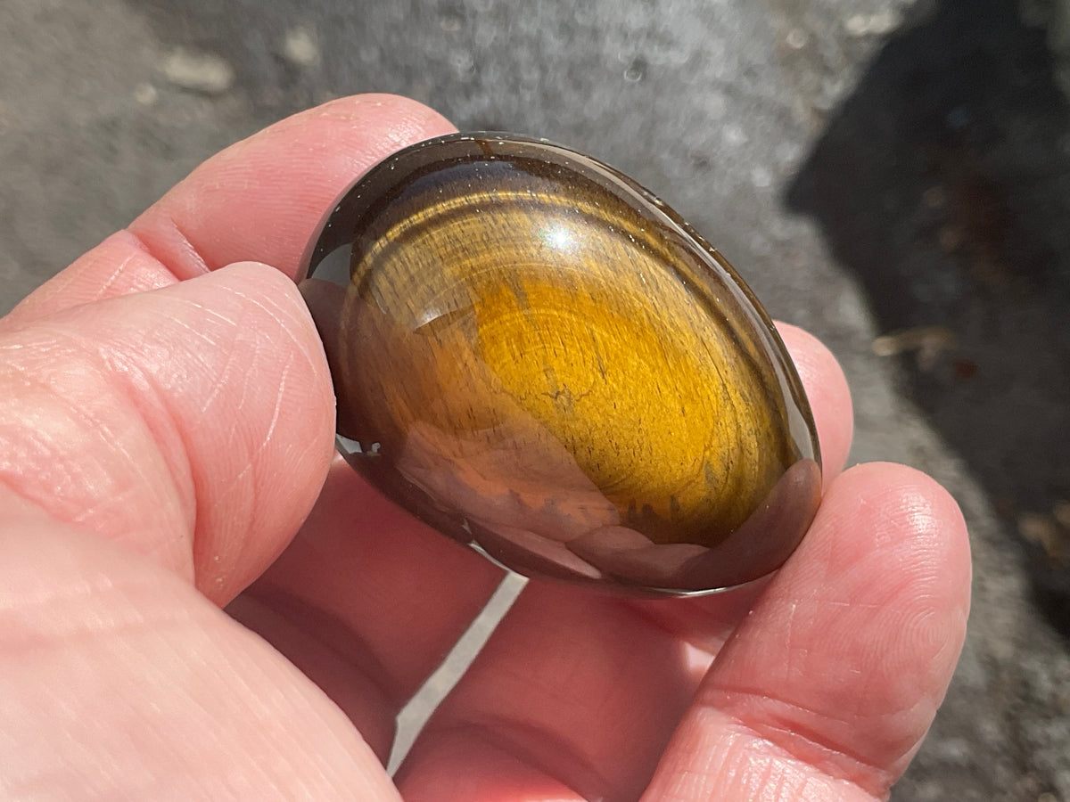 57g Tiger Eye Egg 4