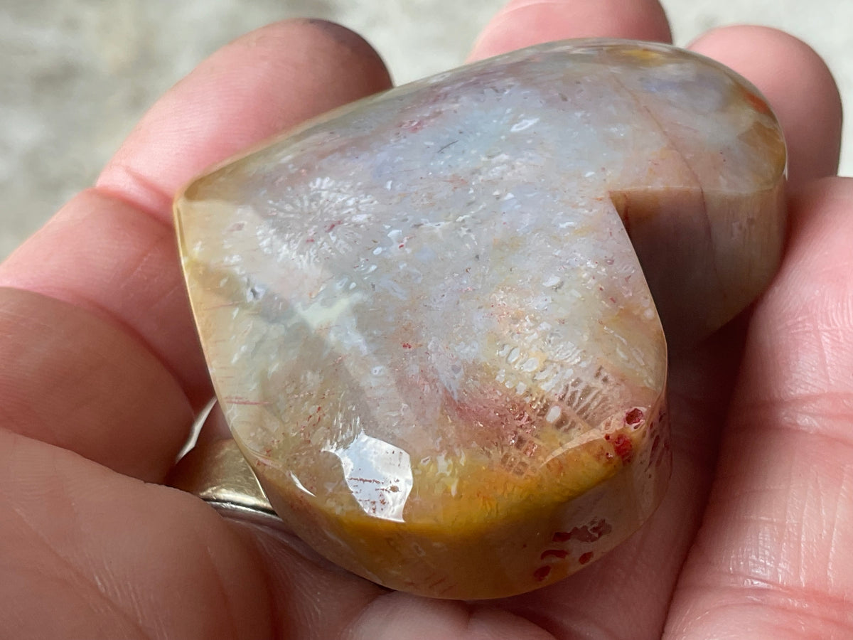 65g Fossilised Coral Heart 4A