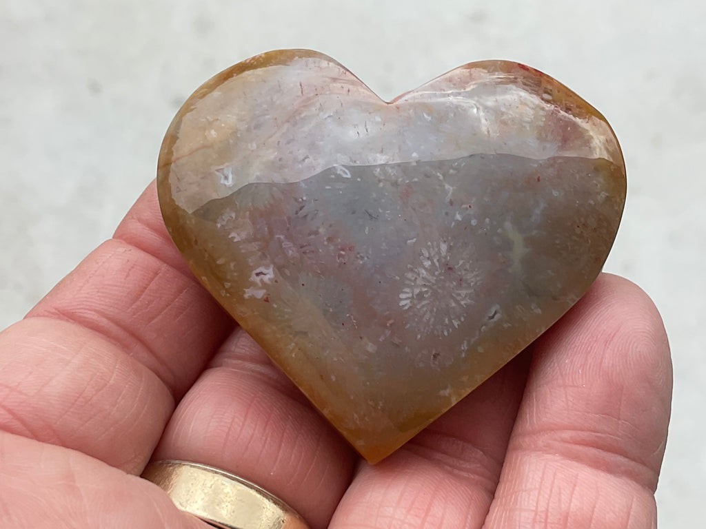 65g Fossilised Coral Heart 4A