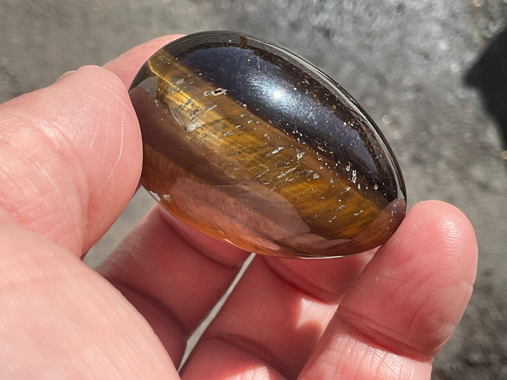 57g Tiger Eye Egg 4