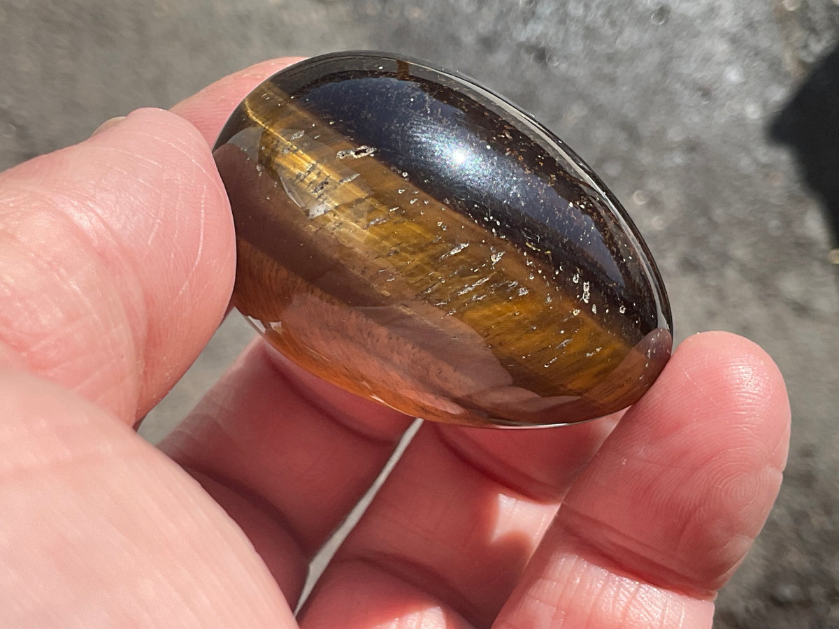 57g Tiger Eye Egg 4