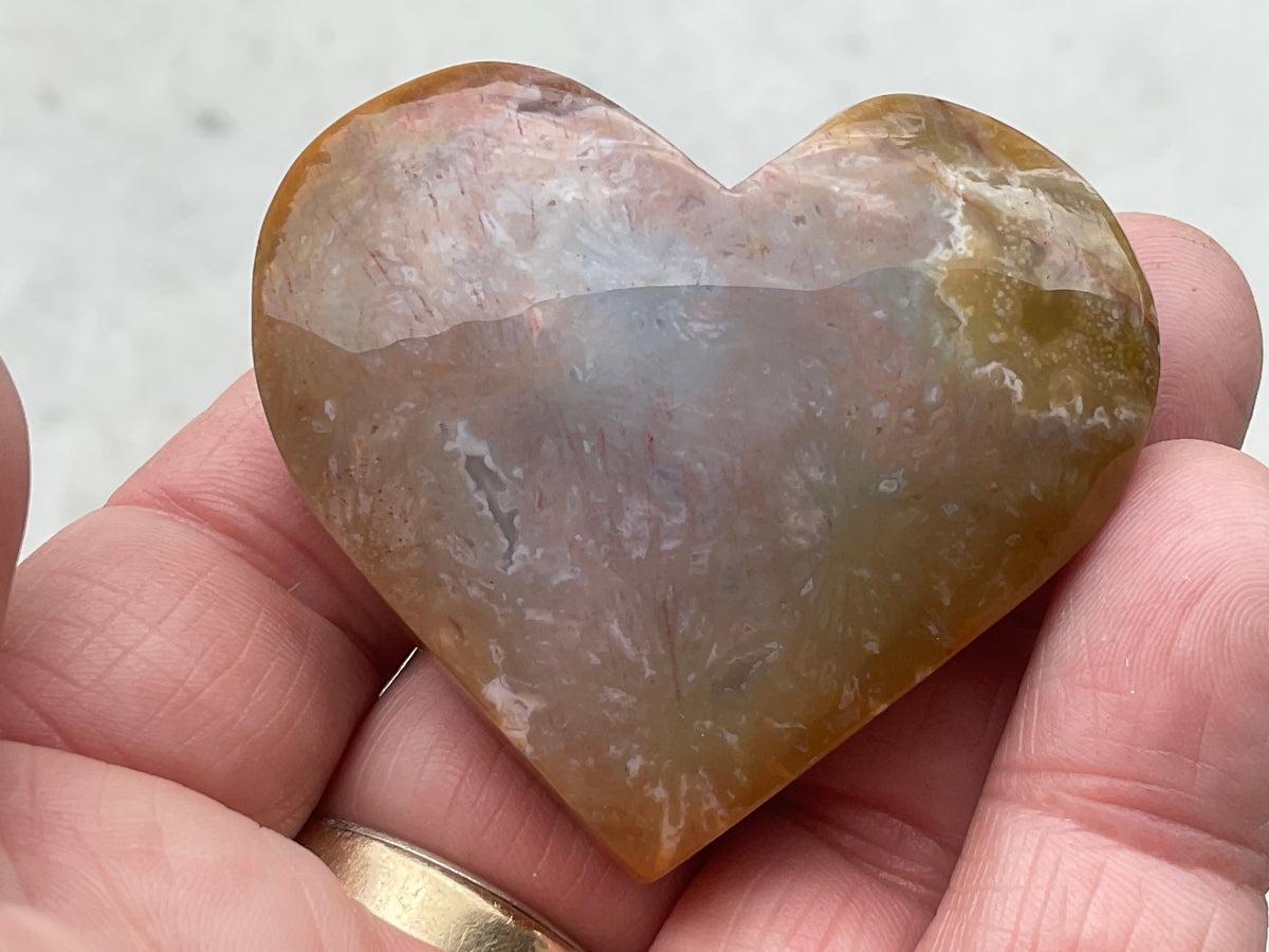 65g Fossilised Coral Heart 4A