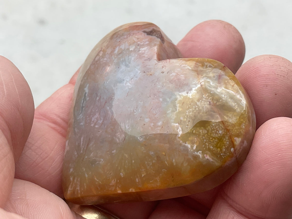 65g Fossilised Coral Heart 4A