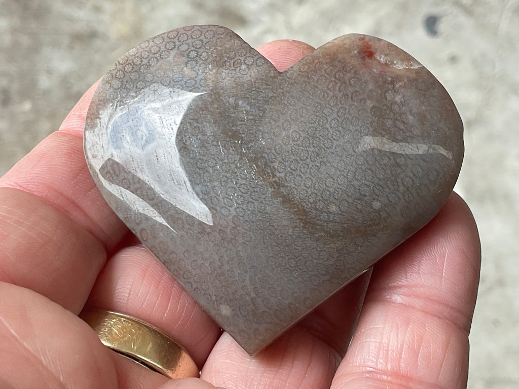 72g Fossilised Coral Heart 4B