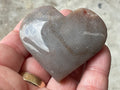 72g Fossilised Coral Heart 4B