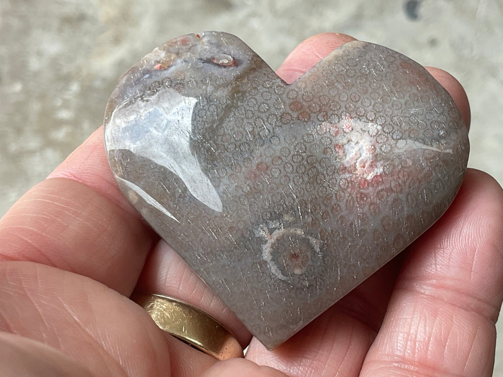 72g Fossilised Coral Heart 4B