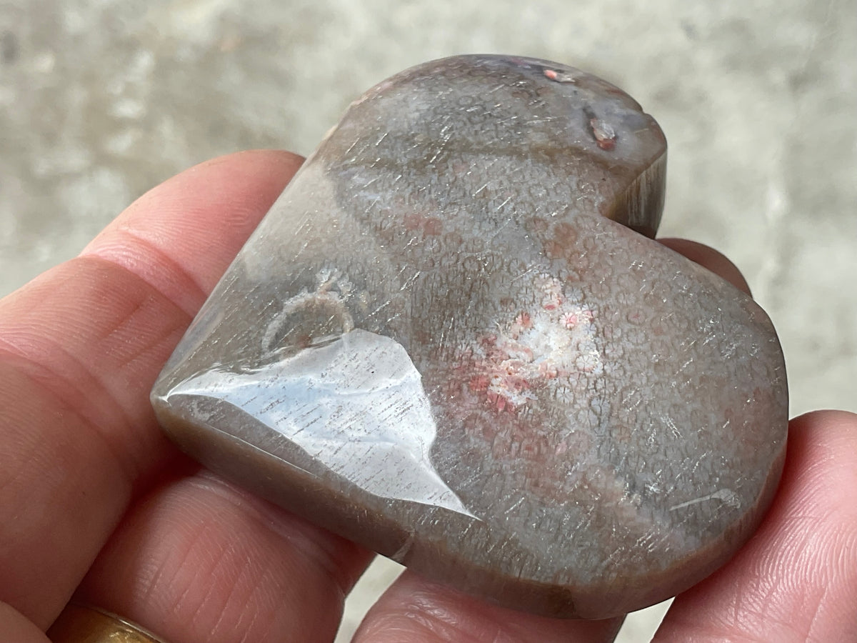 72g Fossilised Coral Heart 4B
