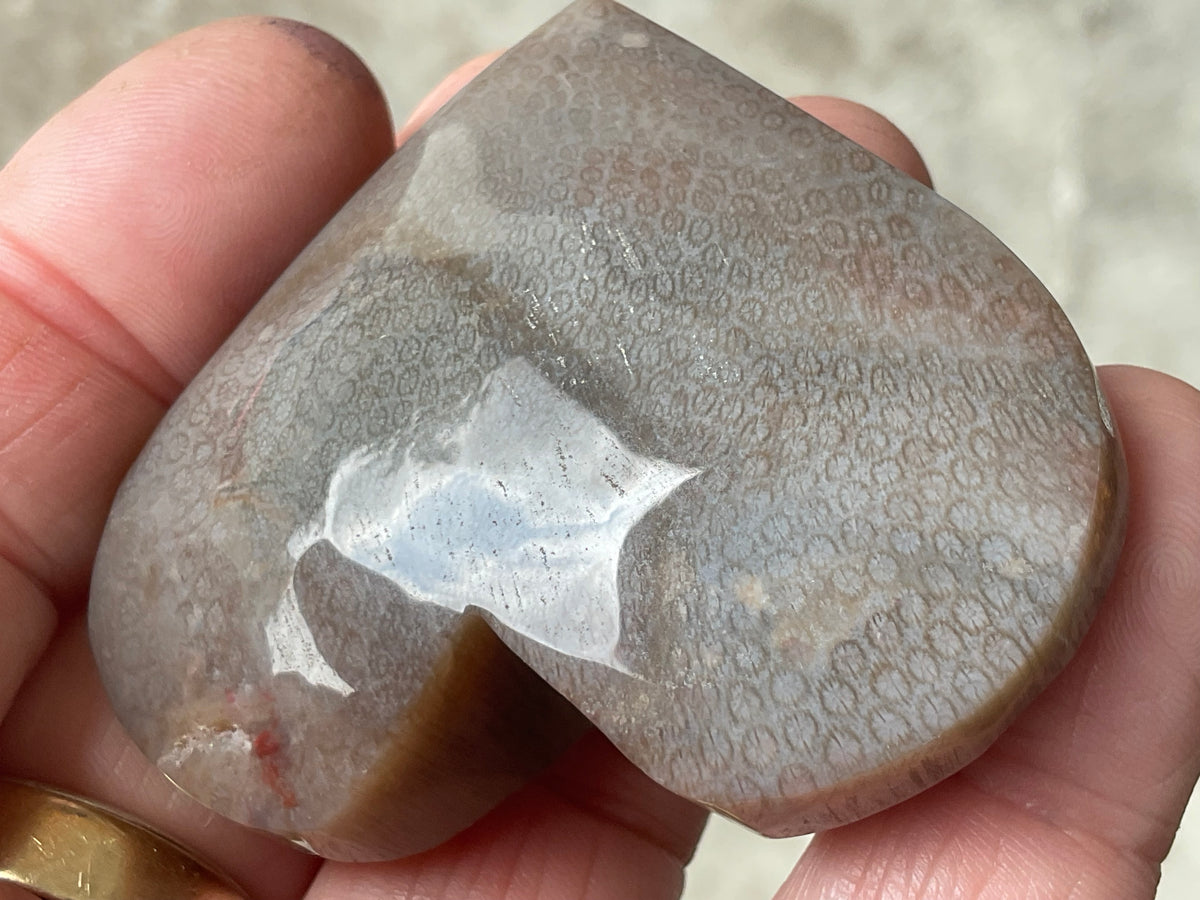 72g Fossilised Coral Heart 4B