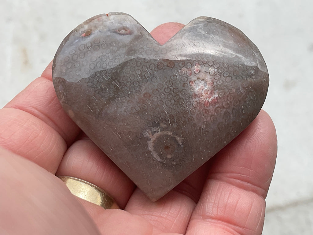 72g Fossilised Coral Heart 4B