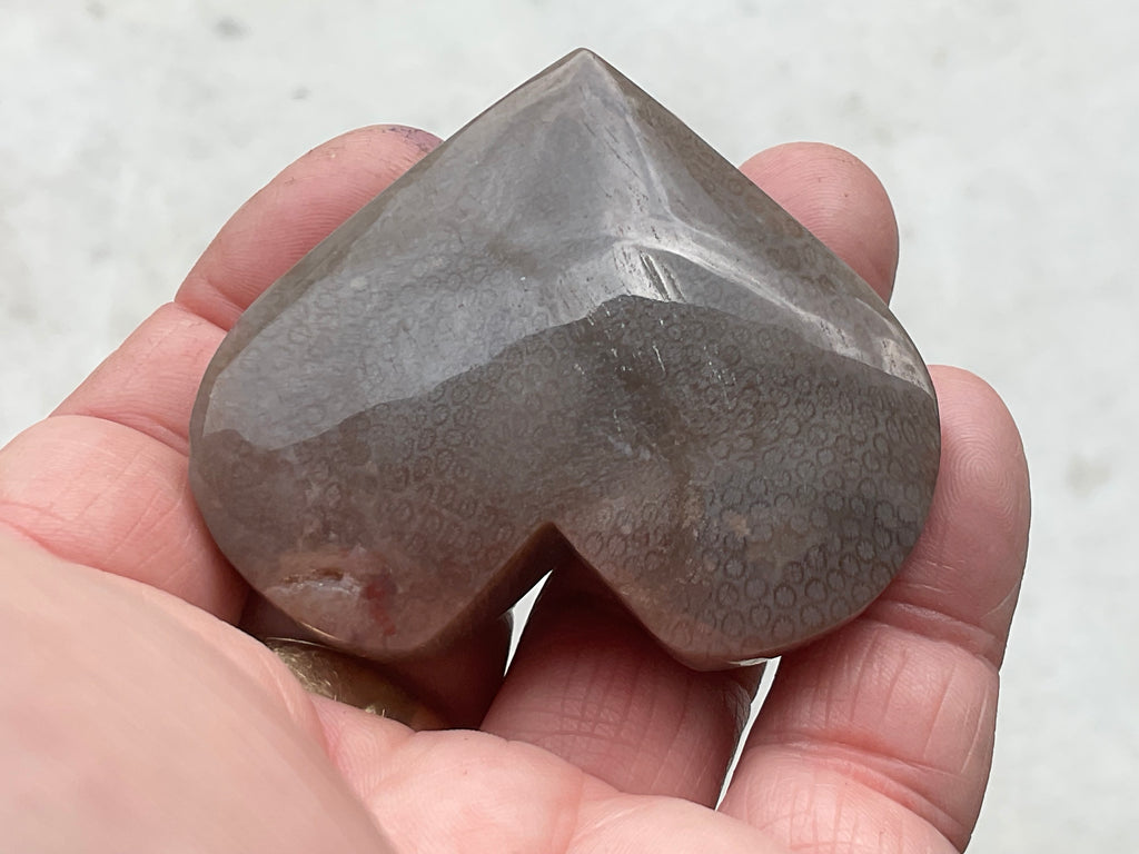 72g Fossilised Coral Heart 4B