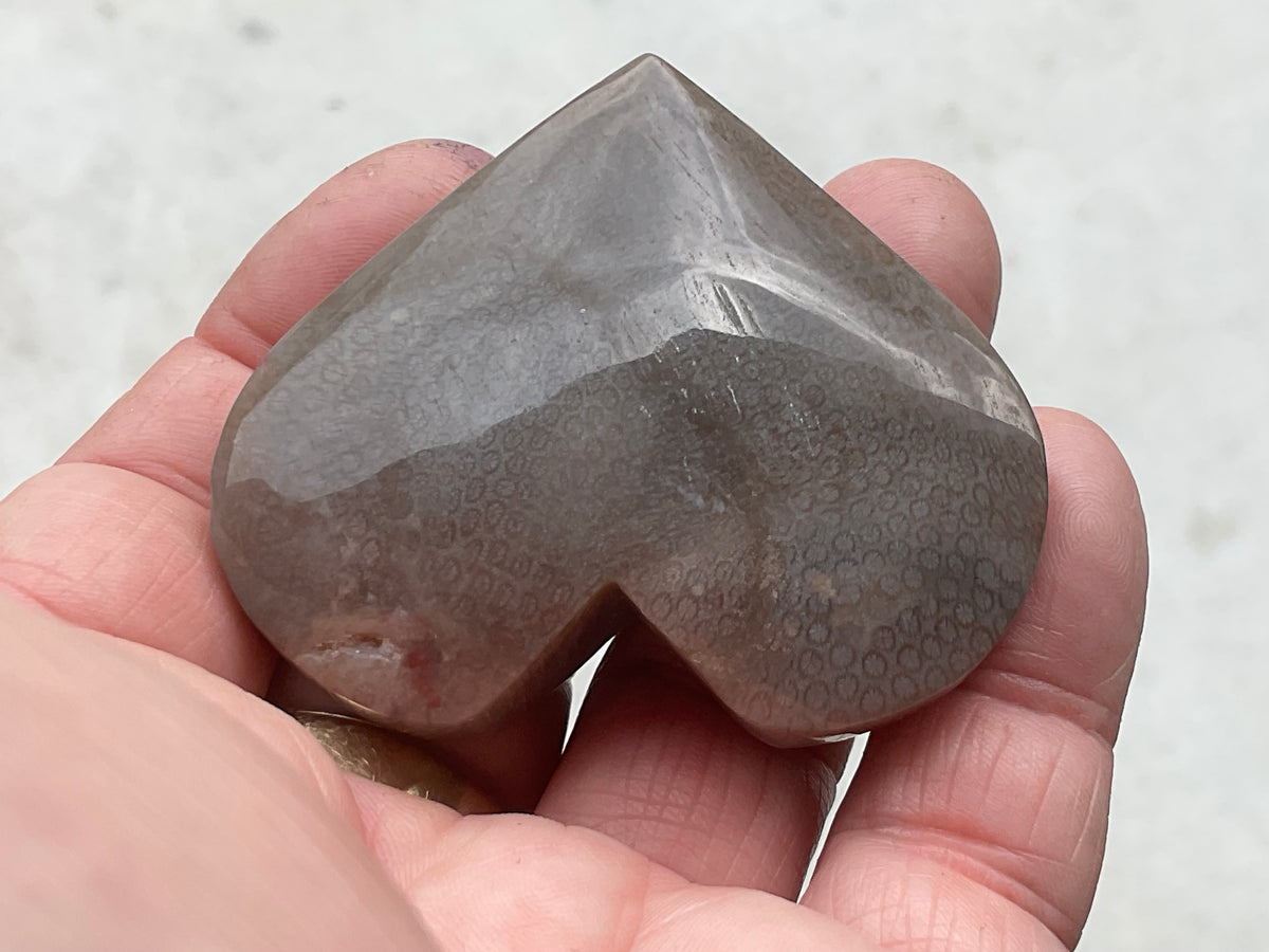 72g Fossilised Coral Heart 4B