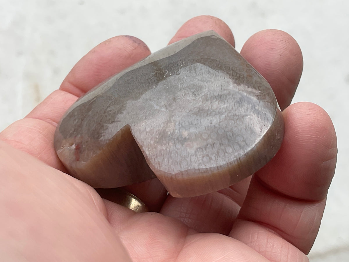 72g Fossilised Coral Heart 4B