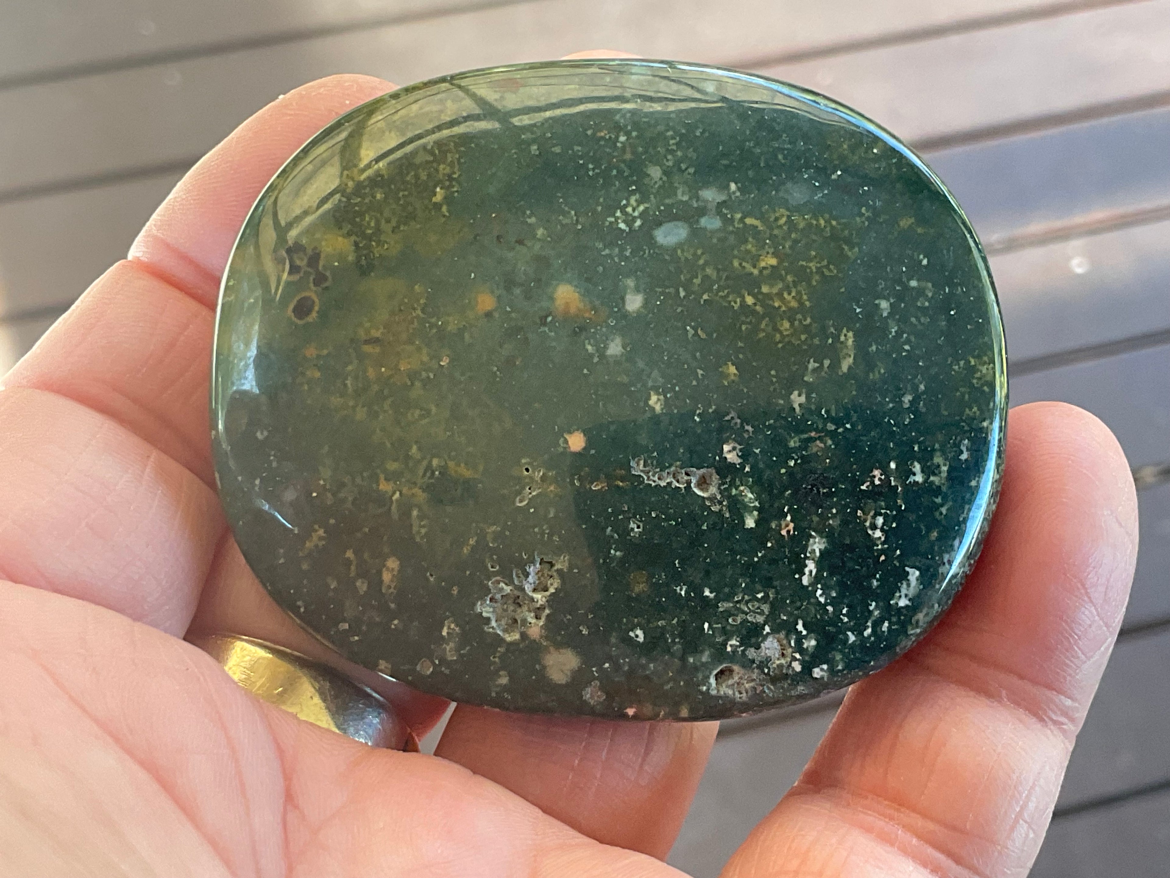 90g Ocean Jasper Palmstone 1C