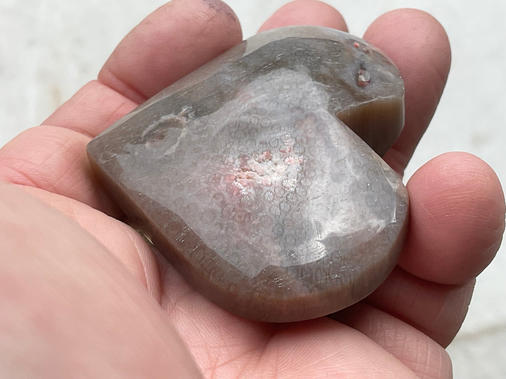 72g Fossilised Coral Heart 4B