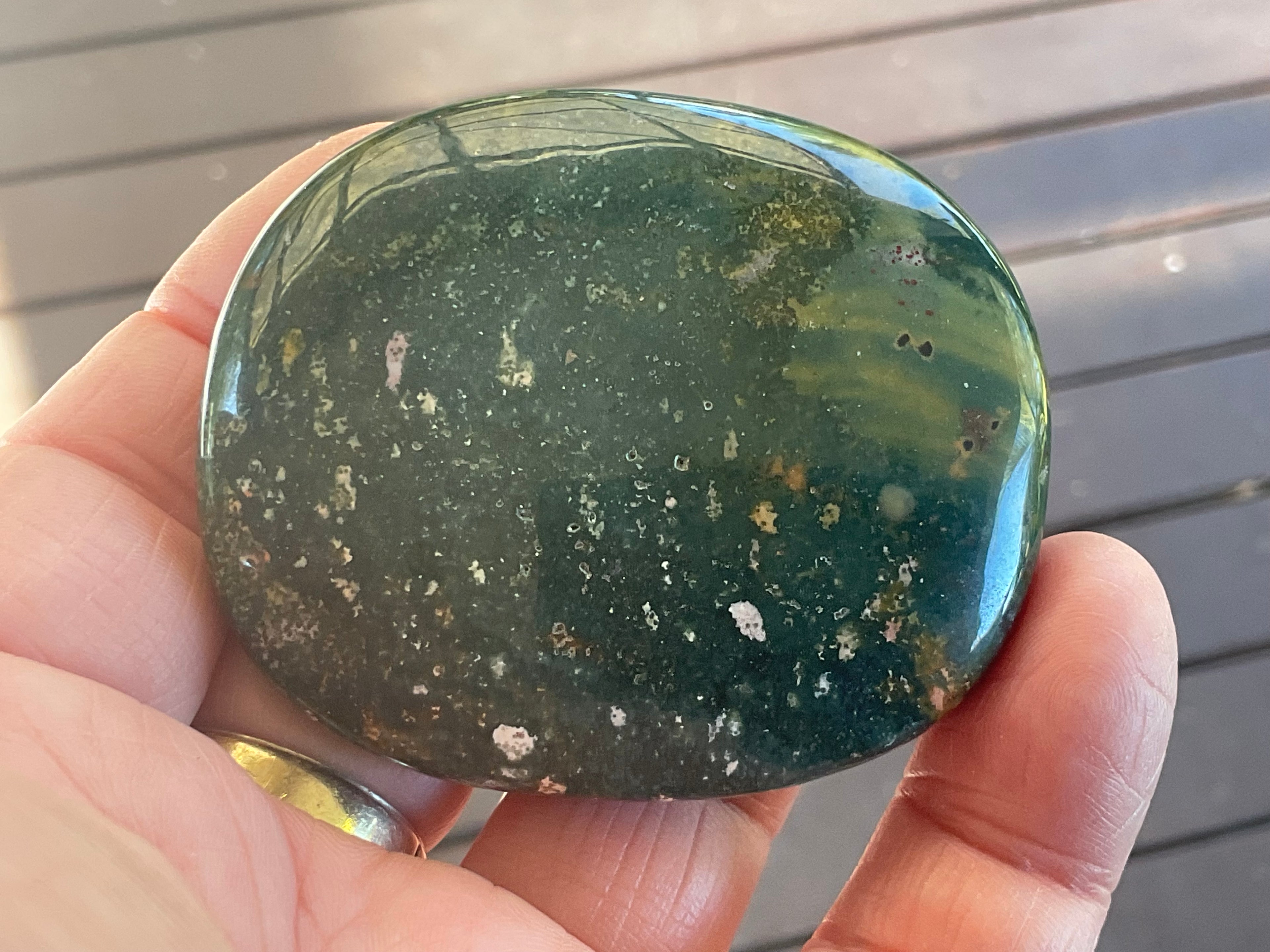 90g Ocean Jasper Palmstone 1C