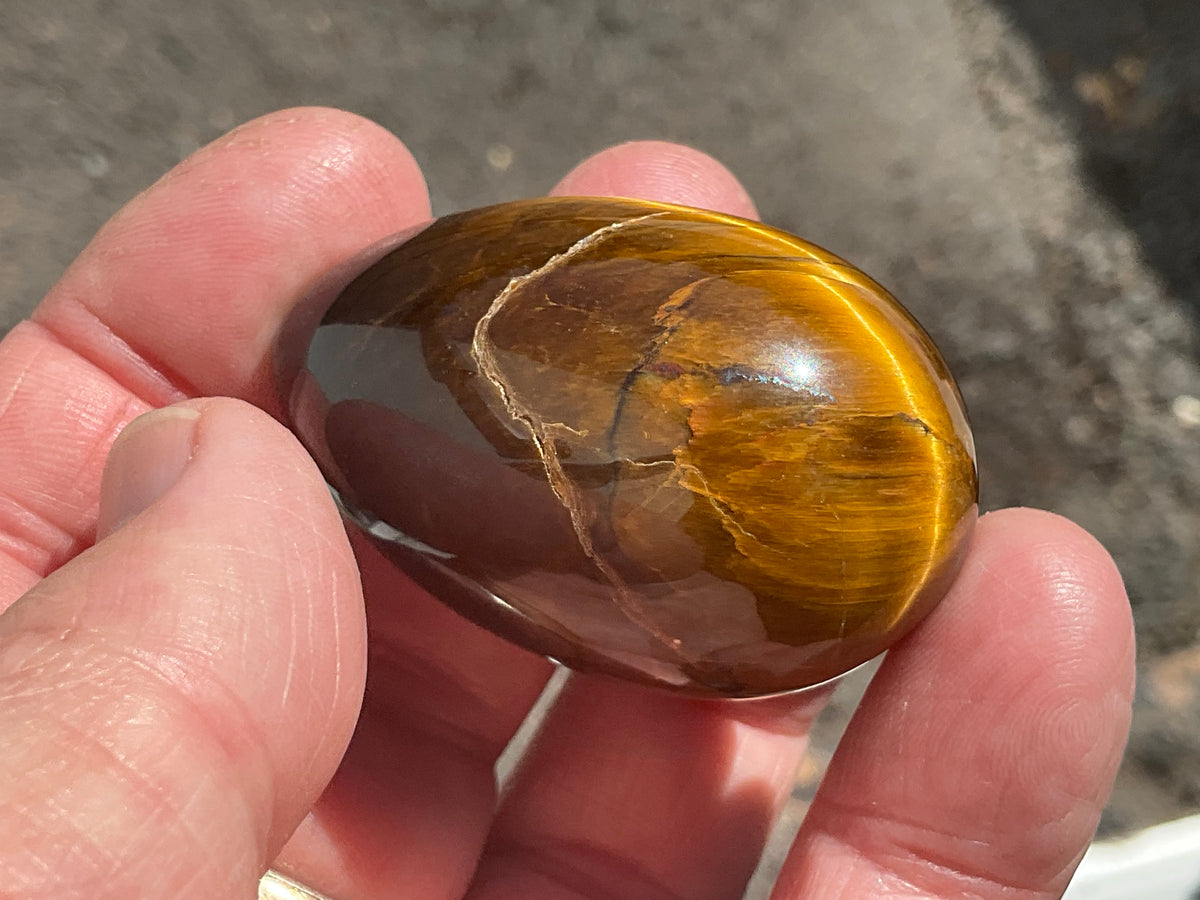 59g Tiger Eye Egg J