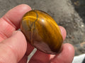 59g Tiger Eye Egg J
