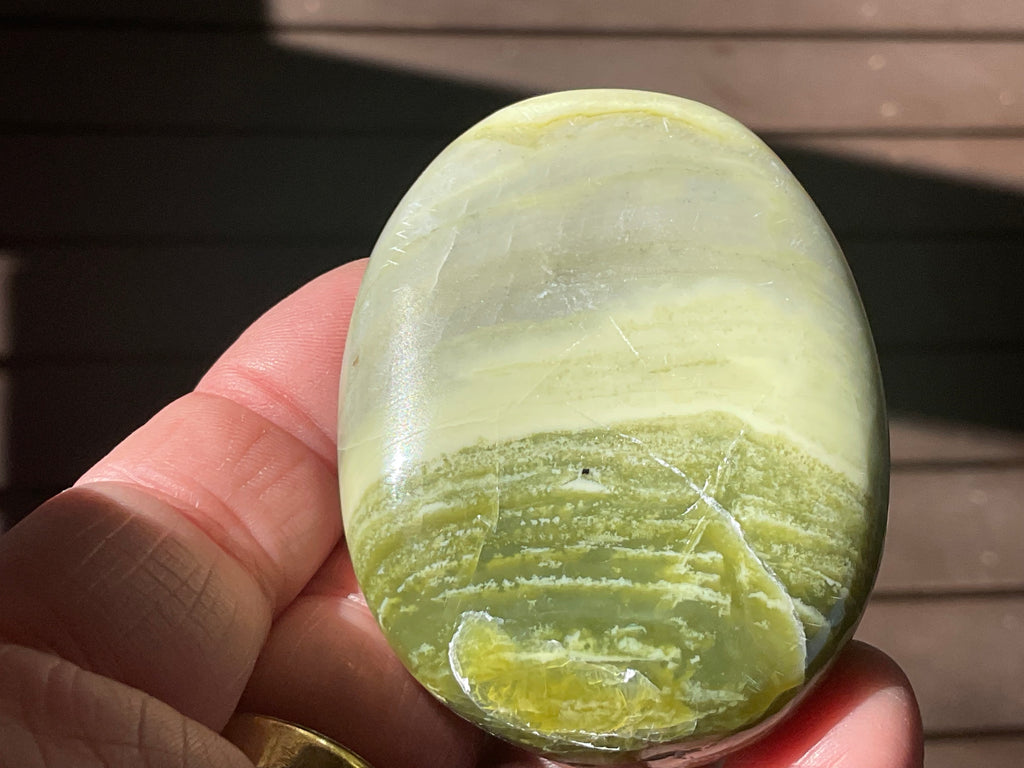 99g Serpentine Palmstone 1B