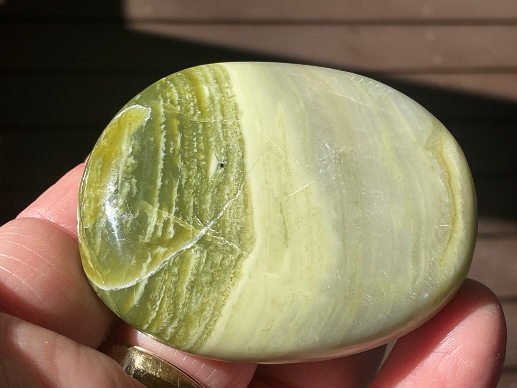 99g Serpentine Palmstone 1B
