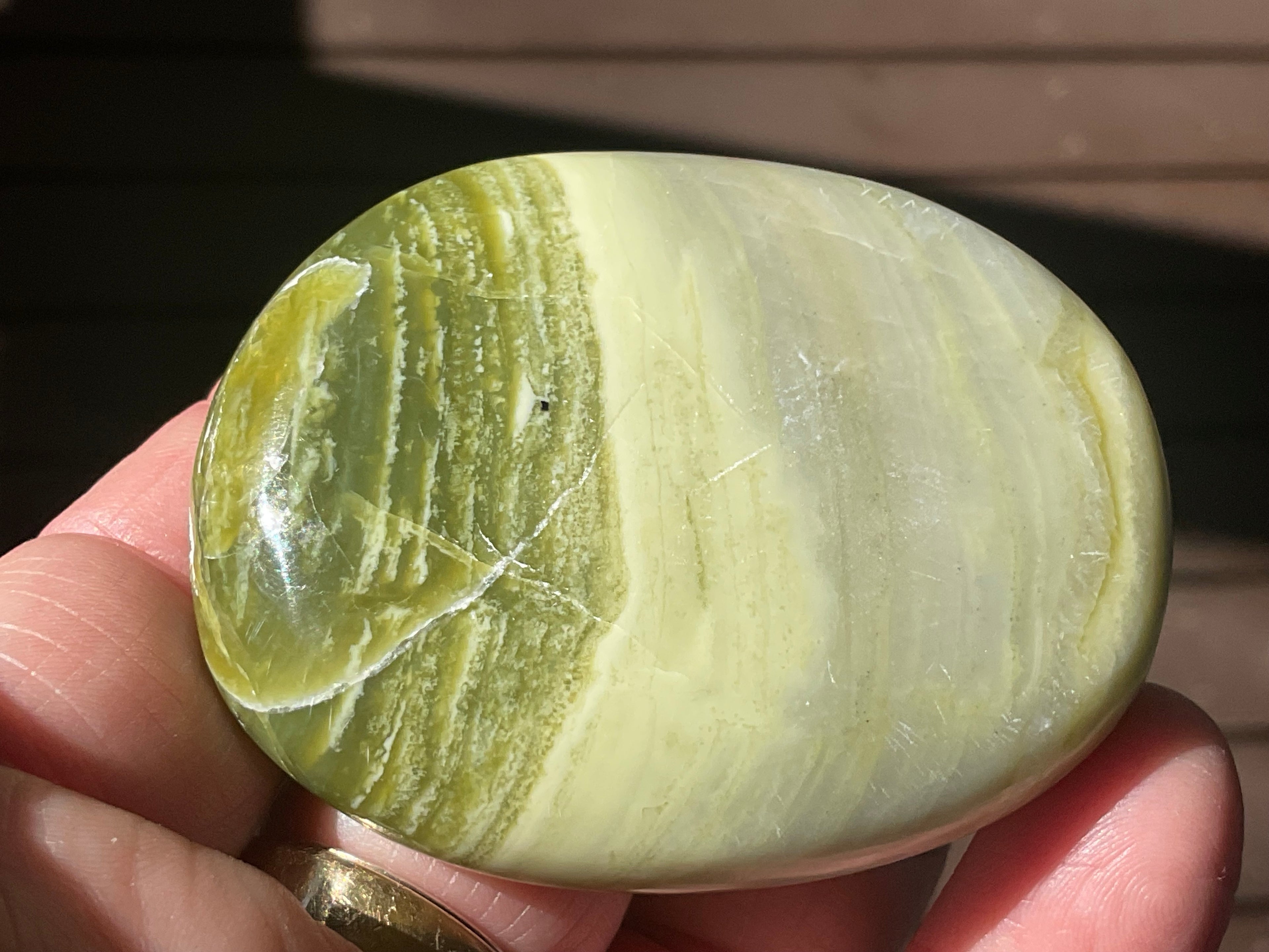 99g Serpentine Palmstone 1B