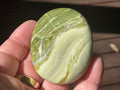100g Serpentine Palmstone 1D