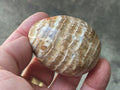 127g Pale Chocolate Calcite Egg 1C