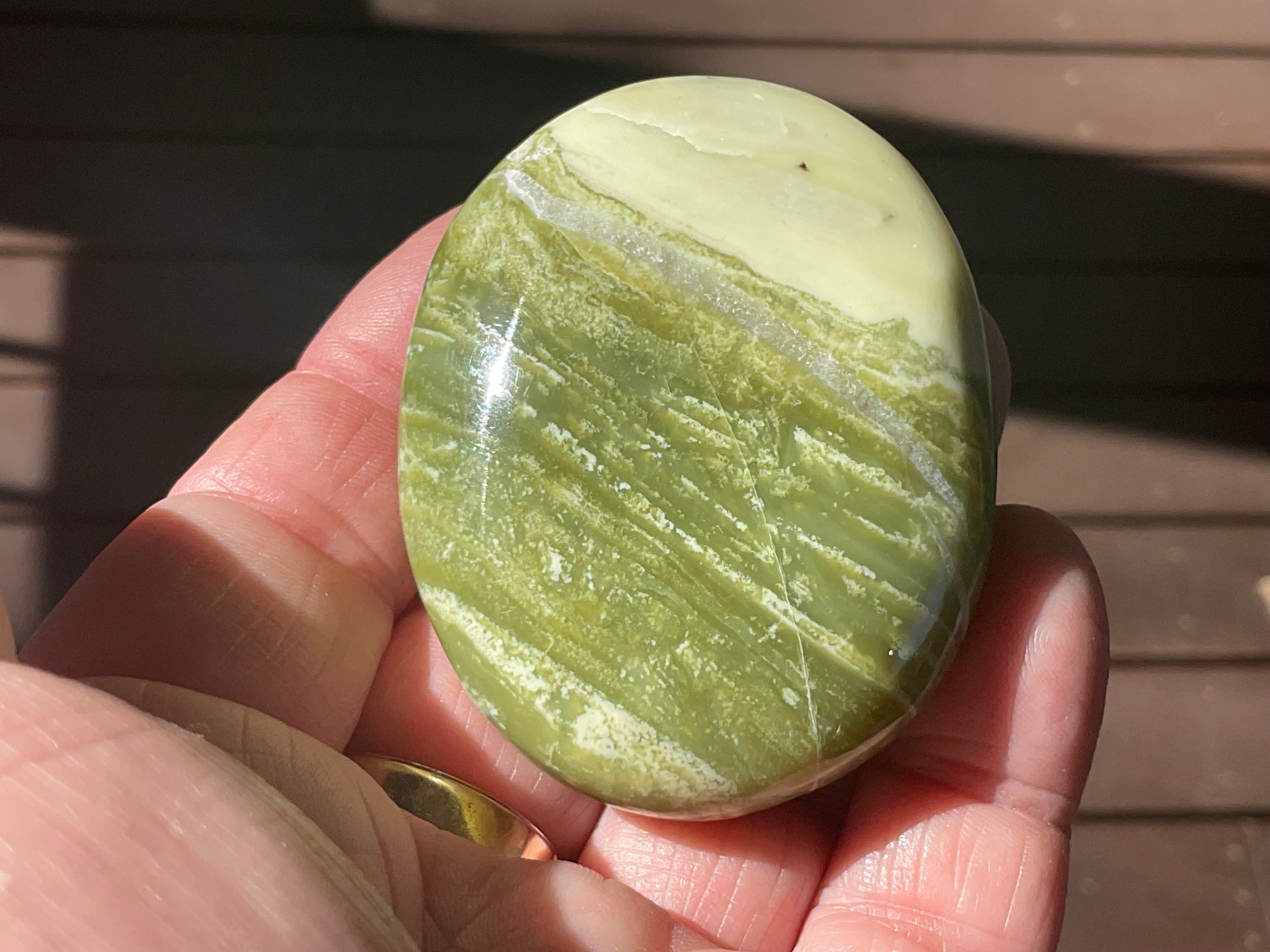 93g Serpentine Palmstone 2C