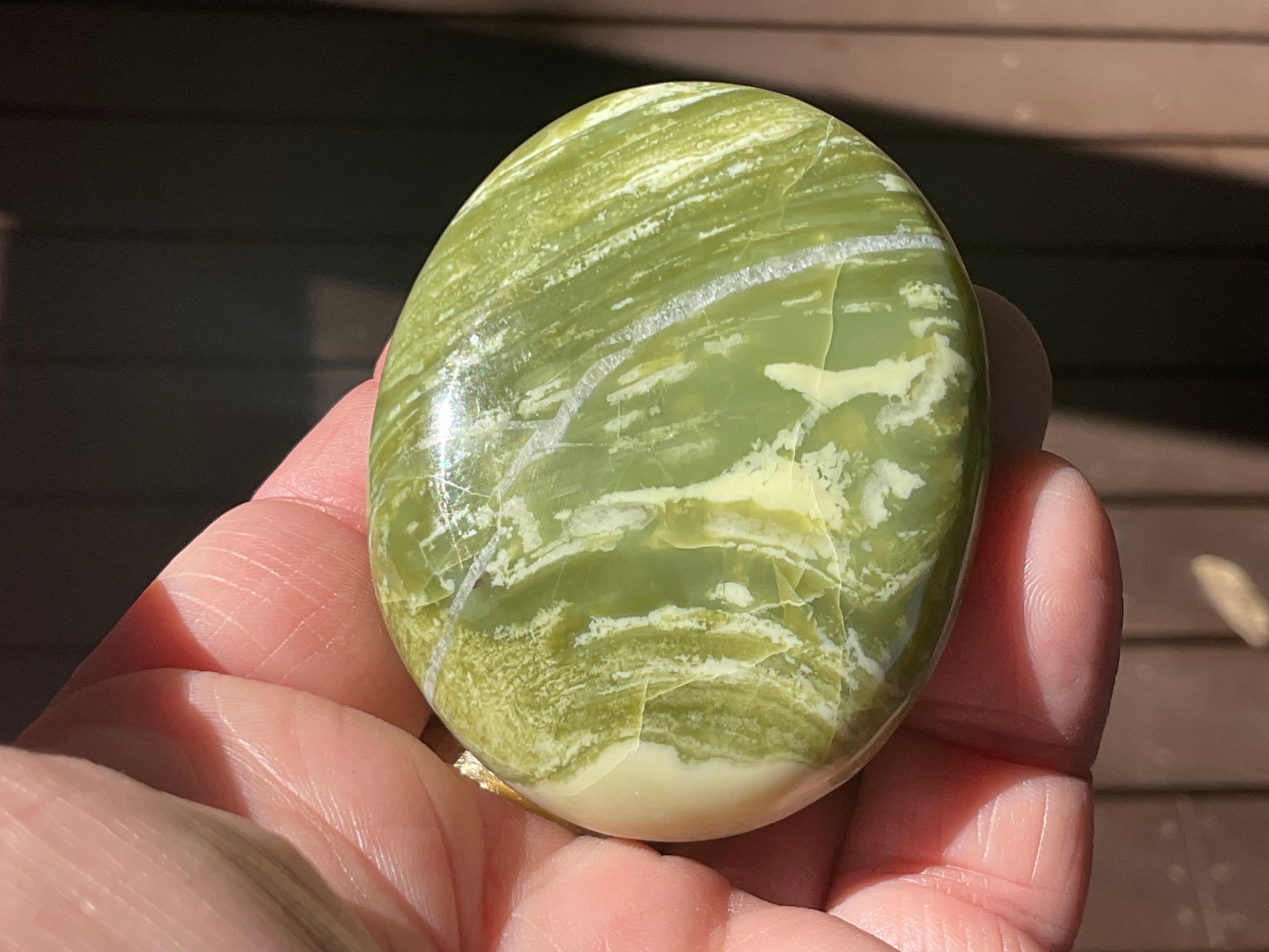 93g Serpentine Palmstone 2C