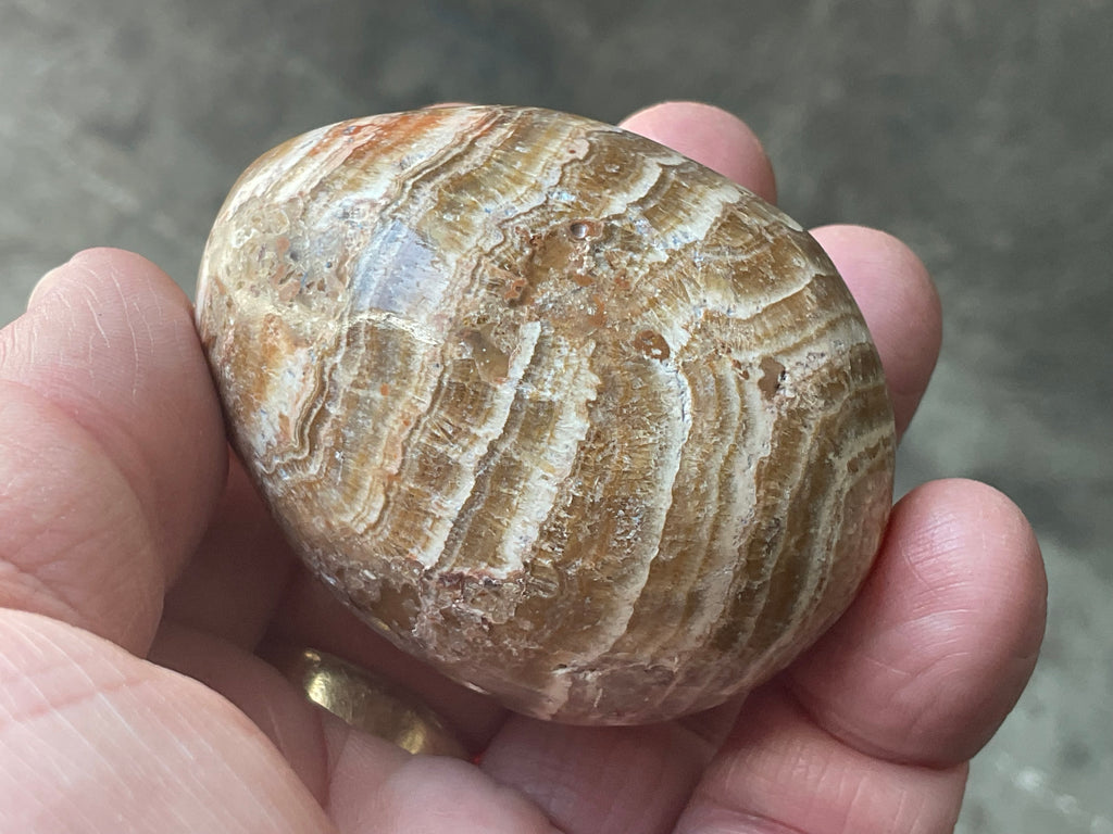 127g Pale Chocolate Calcite Egg 1C