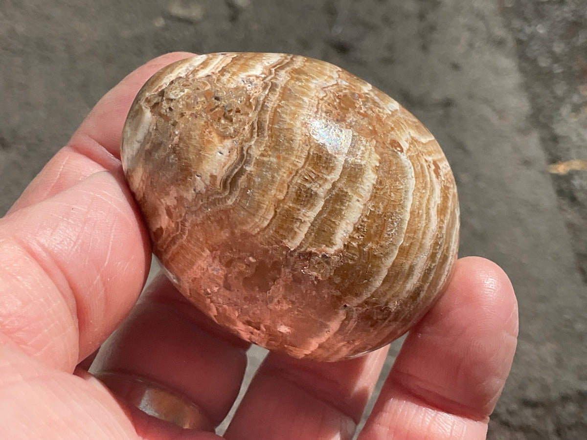 127g Pale Chocolate Calcite Egg 1C