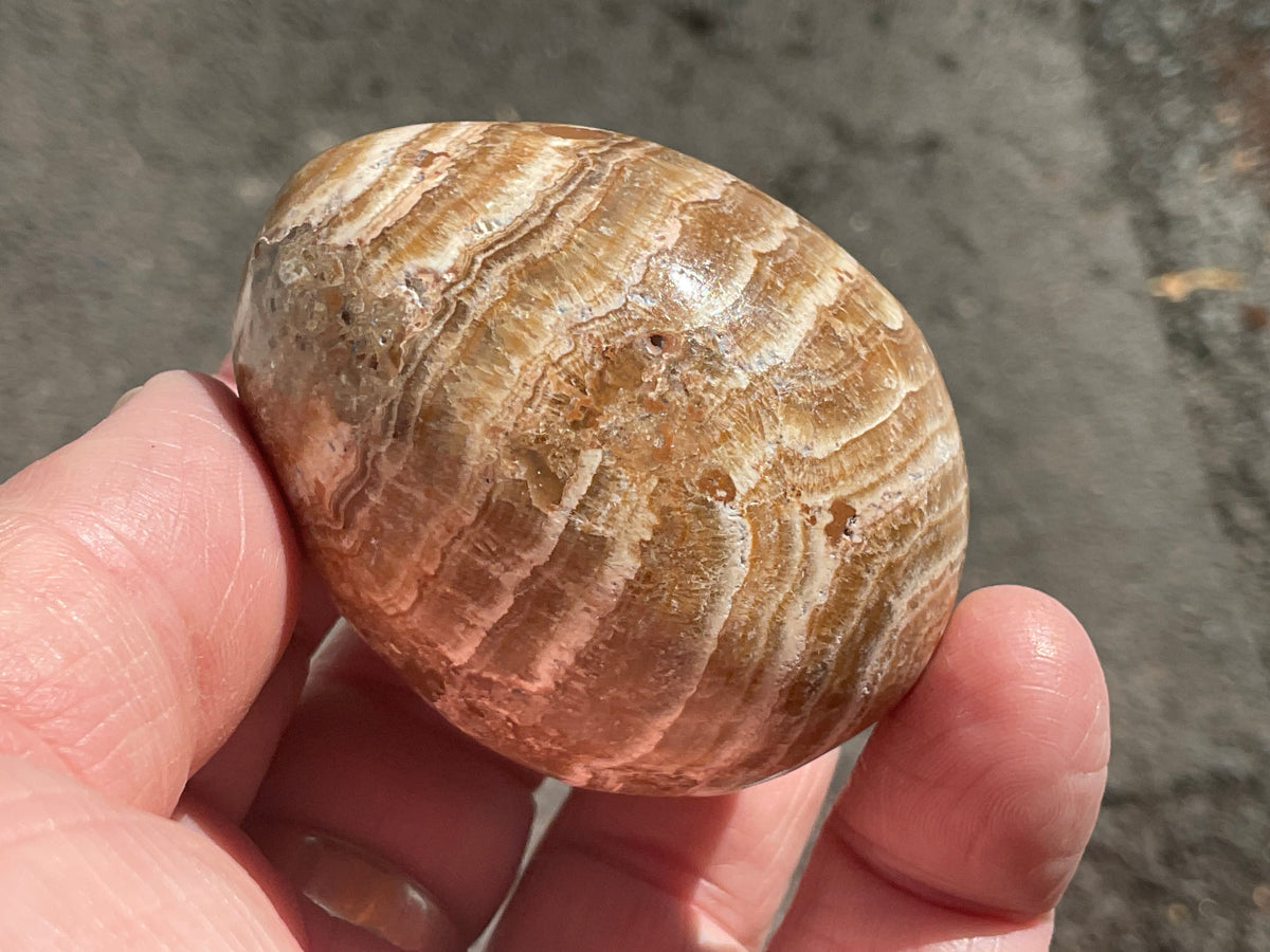 127g Pale Chocolate Calcite Egg 1C