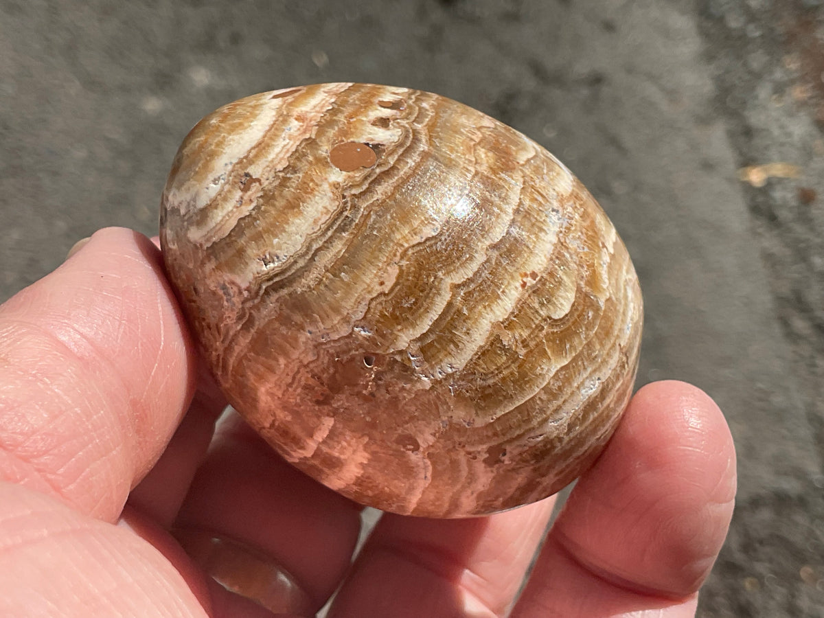 127g Pale Chocolate Calcite Egg 1C