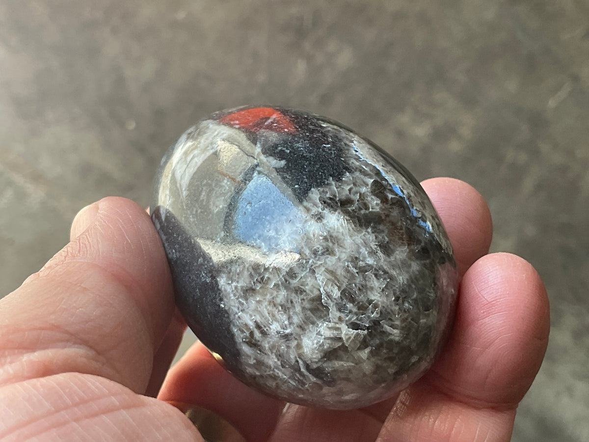 160g Orthoceras Egg 1B
