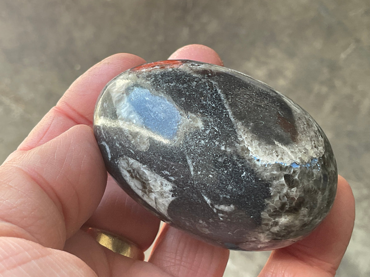 160g Orthoceras Egg 1B